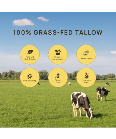 Elrisme Grass-Fed Beef Tallow for Skin: Organic Whipped Tallow and Honey Balm - Face Moisturizer & Body Cream - Deep Hydrating & Nourishing - Raw Wild Honey Beeswax & Vitamin E 2.3 Oz - Buy Online on GoSupps.com