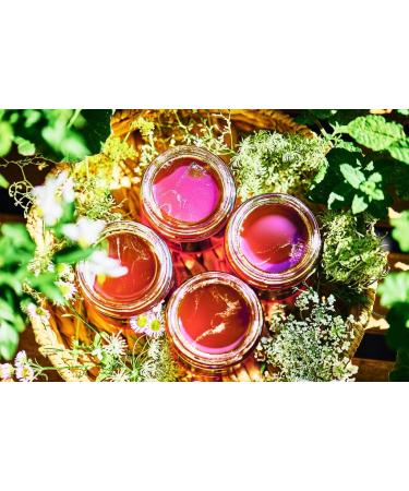 4x Miel d'Eucalyptus 250g Caravella Fine Food| Italien Pur Notes balsamiques et bois es intenses |Antioxydants et Enzymes Apaisant et purifiant |Id al pour Th Petit-d jeuner Bien- tre Toux Peau D tox - Buy Online on GoSupps.com