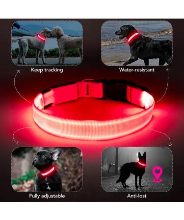 Koskill Luminous LED Dog Collar - Waterproof Adjustable & Super Bright for Medium to Large Dogs - USB Rechargeable & Stylish Design - Buy Online on GoSupps.com