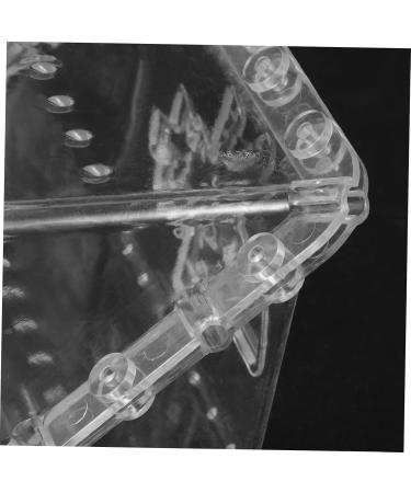 Mipcase 2pcs Square Apple Molds Fruit Vegetable Molds for Gardening Melon Stereotypes Plastic - Buy Online on GoSupps.com