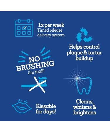 Vetality Brush-Free Oral Gel for Dogs | Proven Dental Care with ProLong Technology - Buy Online on GoSupps.com