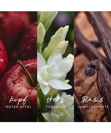  Mexx Mexx Inspired Warmth Body Lotion - Buy Online on GoSupps.com