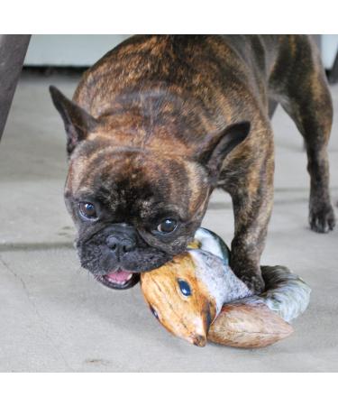 Doggijuana Juananip Refill | Premium Organic Ground Catnip for Dogs | USA Grown | All Natural | Pack of 1 - Buy Online on GoSupps.com