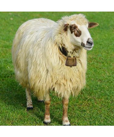 Super Loud Antique Style Metal Cowbells - 2 Green Bronze Bells for Horses Sheep & Farms | Brass & Copper Animal Bells - Buy Online on GoSupps.com