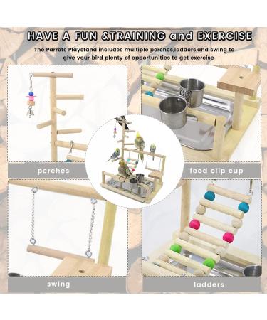 Buy Wishesmar WellensiTich Playground for Nymphensittich Parrots - Climbing Swing Feeder-Cup & Ladder - Durable Wooden Toy | 45x37x23 cm - Buy Online on GoSupps.com