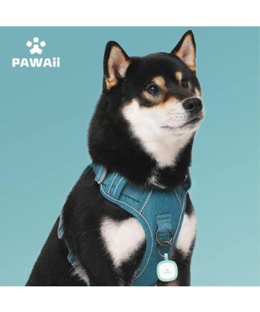 Pawaii Dog Harness for Large Dogs - Reflective Adjustable Breathable Anti-Training Tableware | Teal Green (Chest 68cm-81cm) - Buy Online on GoSupps.com