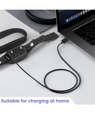 2 Pack Charger Replacement for FAFAFAFROG Dog Collar | Magnetic Charging Cable - Fast Shipping Worldwide - Buy Online on GoSupps.com