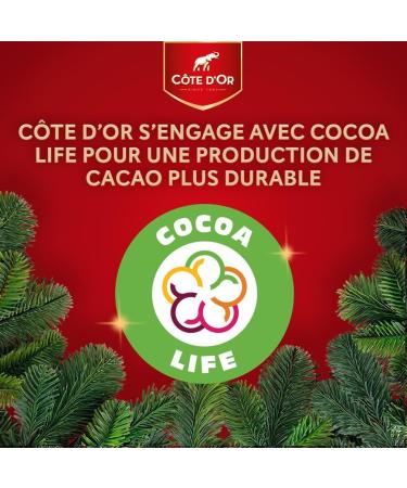 C TE D'OR - Mini Roc Lait - Filled Milk Chocolate - Crispy and Whole Hazelnut - Christmas Chocolates - Share Box - Buy Online on GoSupps.com