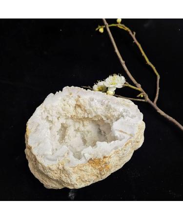 Natural Crystal Rough Natural Raw White Agate Crystal Stones Agate Cluster Geode Quartz Rock Geode Irregular Home Decoration Gemstone Specimen Approx500-600G (Size : Approx300-400G) - Buy Online on GoSupps.com