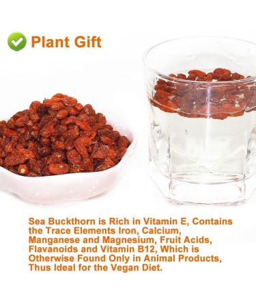 Buy Organic Dried Sea Buckthorn Berries 120g - High B12 All-Natural No Additives Superfood for International Shipping - Buy Online on GoSupps.com