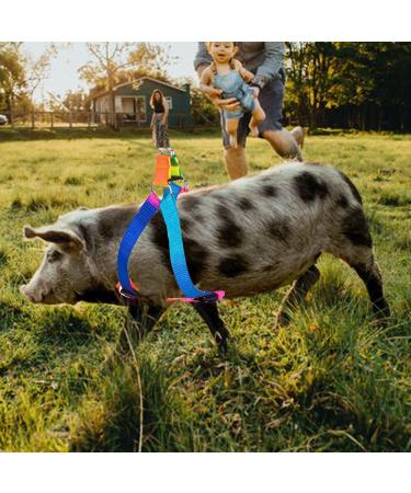 Buy Woyous Mini-Pig Crockery Set - Adjustable 2-Part Dishes for Small Pigs & Rabbits | Leash Included | Perfect for Walking & Jogging - Multi-Colored - Buy Online on GoSupps.com