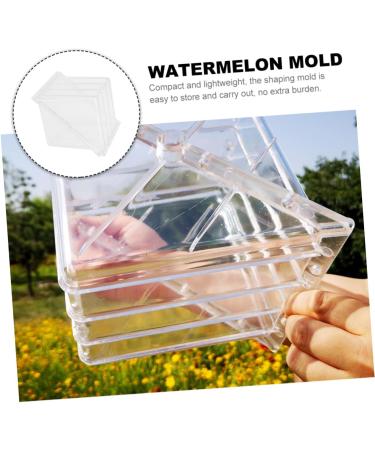 HOMSFOU Watermelon Shaping Vegetables Vegetable Growth Molds Strawberry Cup Fruit Forming Mold Tool Cucumber Ginseng Fruit 15x15cm Transparent - Buy Online on GoSupps.com