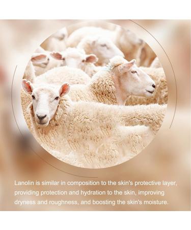 Lanolin Moisturising Cream Lanolin Face Cream Lanolin Cream Nourishing Moisturising Hydrating Moisturiser Improves Dryness Firming Skin Gentle Skin Care Cream 140g - Buy Online on GoSupps.com