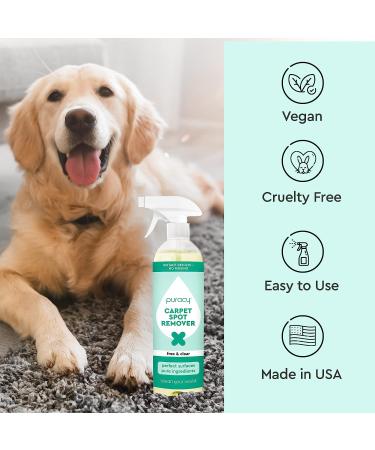 Puracy Instant Carpet Spot Cleaner Spray - Pet Safe Carpet Stain Remover with Natural Enzymes - 25 Ounce - Buy Online on GoSupps.com