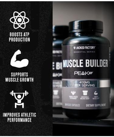 Jacked Factory Creatine Monohydrate Powder 150g - Creatine Supplement for Muscle Growth Increased Strength & Essentials Muscle Builder - Daily Muscle Builder with PeakATP (30 Capsules) - Buy Online on GoSupps.com