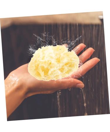 Beaupretty Moisturizer Body for Shower Shower for Women Natural for Bathing Bath for Shower Wash Sponge for Showering Bath Sponge for - Buy Online on GoSupps.com