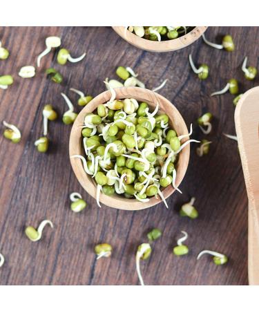 Buy Organic Sprouted Mung Beans | 1kg Raw Food | Plastic-Free & Eco-Friendly Packaging | s ssundclever.de - Buy Online on GoSupps.com