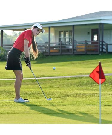 ACXFOND 4Pcs Mini Golf Flags with Tube Inserted - 5.7x8.7in Nylon Putting Green Flags for Yard Indoor Outdoor - Shop Now! - Buy Online on GoSupps.com