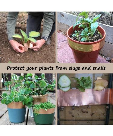 LSCAILIAO Copper Metal Sheet - Pure Copper Foil Roll for Creative and Experimental Long 2m Thickness 0.04mm Width 30mm - Buy Online on GoSupps.com