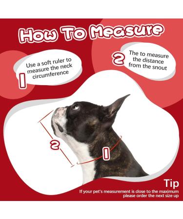 Kuoser Rescue Dog Collar - Adjustable Leak Protection for Wounds | Red M (28-36cm) | Essential & Comfortable for Dogs - Buy Online on GoSupps.com