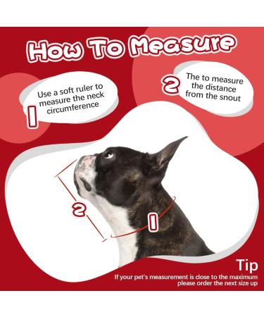 Kuoser Rescue Dog Collar - Adjustable Leak Protection & Wound Prevention - Red (24-30cm) - Buy Online on GoSupps.com