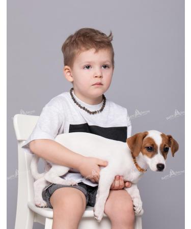 Buy Amber Dog Collar & Tick Collar for Dogs & Cats - Natural Flea & Tick Remedies | Shop 20cm Raw Bernstein Chain Collars Online - Buy Online on GoSupps.com