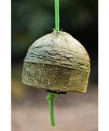 Silvermoor Swingers 1kg - Captivating Carrot - Buy Online on GoSupps.com