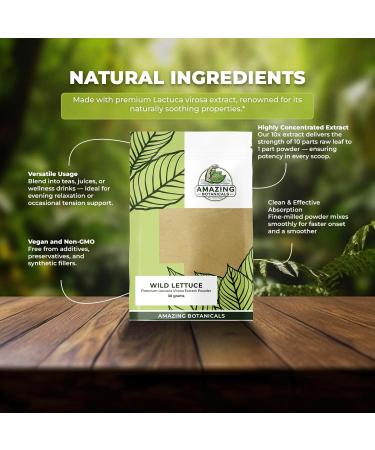 Amazing Botanicals Wild Lettuce Premium 10:1 Extract Powder - Pure and Potent Herbal Supplement for Relaxation and Relief | 30 Grams - Buy Online on GoSupps.com
