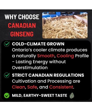 Canadian Vita Ginseng Root - Premium Large Canadian Ginseng Roots 227g | 5-Year Dried Roots for Ginseng Soup - Authentic Herbal Supplement for Energy Focus & Immunity - Buy Online on GoSupps.com