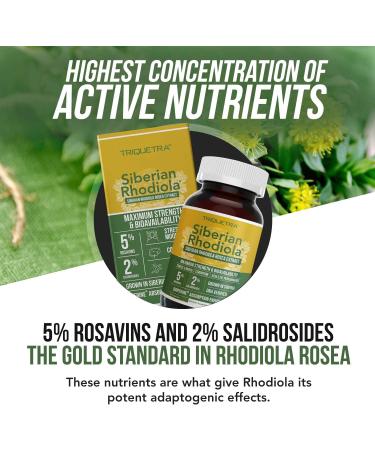 Max Strength Siberian Rhodiola | 5% Rosavins & 2% Salidroside | BioPerine Enhanced | DNA Verified | Stress Reduction, Energy Boost & Cognitive Enhancement | 60 Count - Buy Online on GoSupps.com