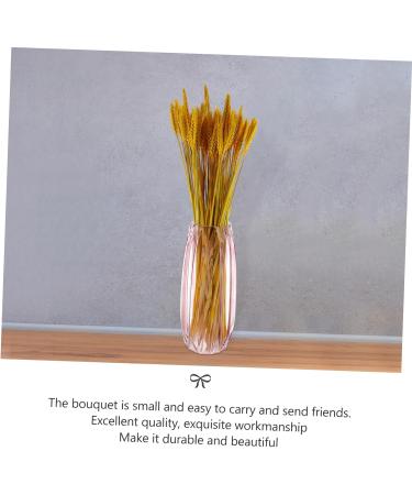Abaodam 200 Pcs Dried Wheat Ears Bouquet Decked Dried Flower Bouquet Wheat Sheave Bundle Wheat Sheave Flower Wedding Decoration Wheat Stalk Ears of Wheat Gift Dried Flowers. Yellowx2pcs 52X10CMx2pcs - Buy Online on GoSupps.com