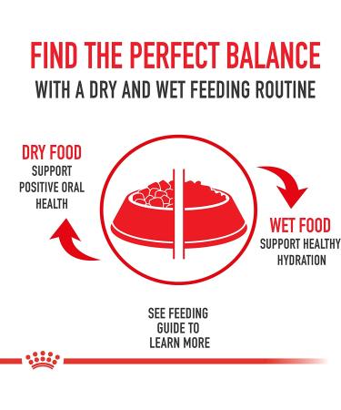 Royal Canin Shih Tzu Wet Dog Food Loaf in Sauce 3oz (Pack of 4) - Buy Online on GoSupps.com