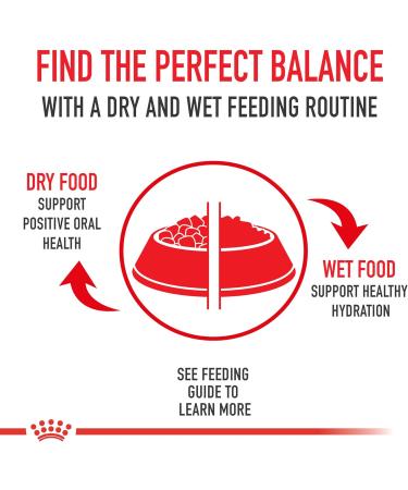 Royal Canin French Bulldog Puppy Breed Specific Dry Dog Food 3kg - Buy Online on GoSupps.com