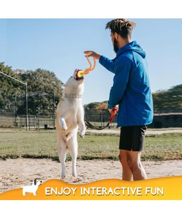 Nobleza 100% Cotton Dog Toy Rope 2 Pack 28cm | Boosts Dog's Mental & Dental Health - Buy Online on GoSupps.com