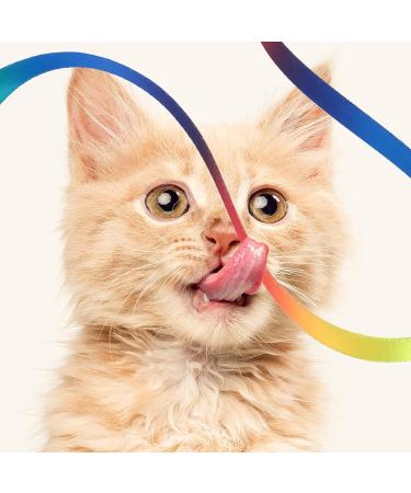 Amaxiu Cat Wand Toy Set Interactive Cat Wand Toy with Rainbow Ribbon String Rainbow Cloth String Leopard Print Cloth String for Small Cats Kittens Indoor Training Catcher(3 Packs) - Buy Online on GoSupps.com