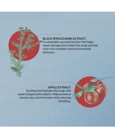 NATURELAB. TOKYO SAISEI Stress Defense Amino Acid Shampoo - Nourishing Hair Care for Stronger Healthier Hair | 11.5 oz - International Shipping Available - Buy Online on GoSupps.com