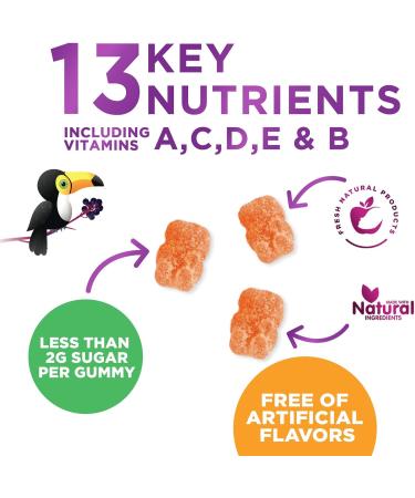 Multivitamin for Kids - Complete Daily Children's Multi Vitamin Gummies with Vitamin D B Vitamins Zinc & More - Energy Memory Focus & Immune Health Support - Natural Berry Flavor Chew - 120 Gummies 120 Count (Pack of 1) - Buy Online on GoSupps.com