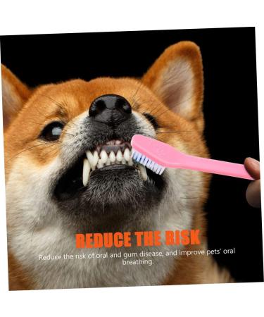 BESPORTBLE 8pcs Double Head Dog Toothbrush Pet Oral Pet Toothpaste Handheld Pets Toothbrush Pet Toothbrush Pp 1 count (Pack of 1) As Shown - Buy Online on GoSupps.com