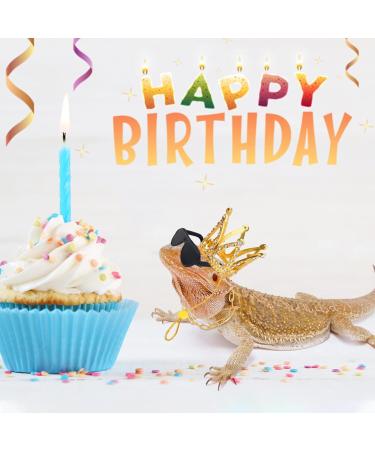 Keymall Bearded Dragon Accessories Set Including Crown Necklace Sunglasses with Adjustable Elastic Chin Strap Reptile Clothes Lizards Gecko Chameleon Iguana Frogs for Photo Props Birthday Gift - Buy Online on GoSupps.com