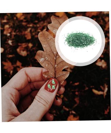 1 Glass Chip Nail Sprinkles Rhinestones for Nails Vintage Nail Charm Nail Crushed Glass Punk Accessories 3D Nail Charm Resin Filler Gems for Nails Bulk Chips Nail Stickers Manicure 0.5X0.3cm Green - Buy Online on GoSupps.com