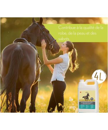 Ferme Olim ga Camelina Oil for Horses 4L Rich in Polyunsaturated Omega-3 Vitamin E Pure and Cold Pressed. - Buy Online on GoSupps.com