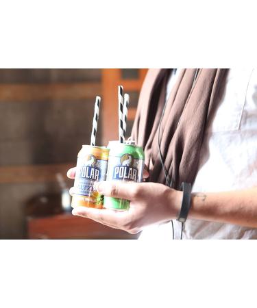 Polar Beverages All Flavor Variety Pack | 15 Pack of 12 Fl Oz Cans | Carbonated Sparkling Water with Natural Flavors - Buy Online on GoSupps.com