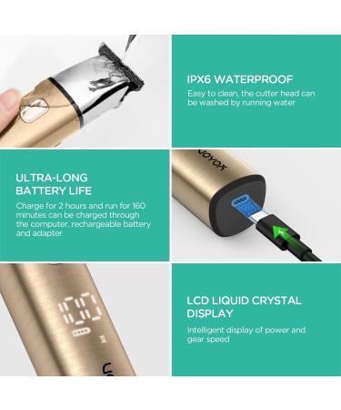 VOYOR Professional Cordless Hair Clippers for Men - T-Blade Trimmer & Beard Kit with LCD Display - Rechargeable Hair Cutting Set with 3 Guide Combs (Gold - Buy Online on GoSupps.com