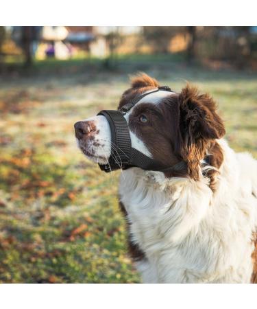 Heele Adjustable Dog Muzzle with Headband - No Rubbing Bite Prevention for Large Dogs XL (1 Pack) - Black - Buy Online on GoSupps.com