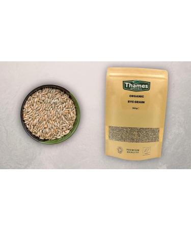 Organic Rye Grain 500g - Whole Grain, Vegan, Raw, GMO-Free - Ideal for Baking and Cooking - Thames Organic - Buy Online on GoSupps.com