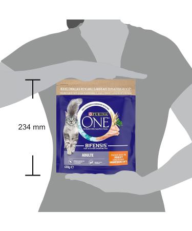 PURINA ONE Bifensis | Chicken Dry Food for Adult Cats | 450g Bag | Pack of 10 - Buy Online on GoSupps.com