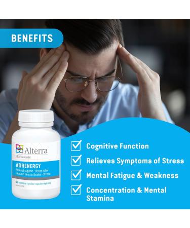 Alterra Adrenergy | Adernal Support Supplement |Adaptogen & stress relief supplement |Helps maintain Cognitive funtion reduce mental fatigue and stress relief | Adrenal extract & Rhodiola Rosea supplement - 90 Capsules - Buy Online on GoSupps.com