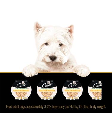 Cesar Wholesome Bowls Adult Wet Dog Food Chicken 85g Pack of 10 Chicken 85 g (Pack of 10) - Buy Online on GoSupps.com