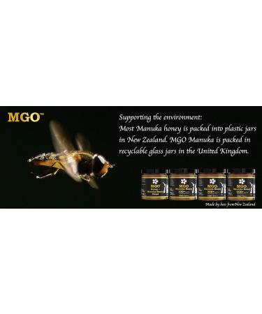 MGO 250 g Methylglyoxal 300 mg/kg Manuka Honey - Buy Online on GoSupps.com