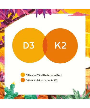 Alpha Foods Vitamin D3 K2 4000 IU Capsules with Omega 3 - Immune Support & Bone Health Supplement - 160 Vcaps - Buy Online on GoSupps.com